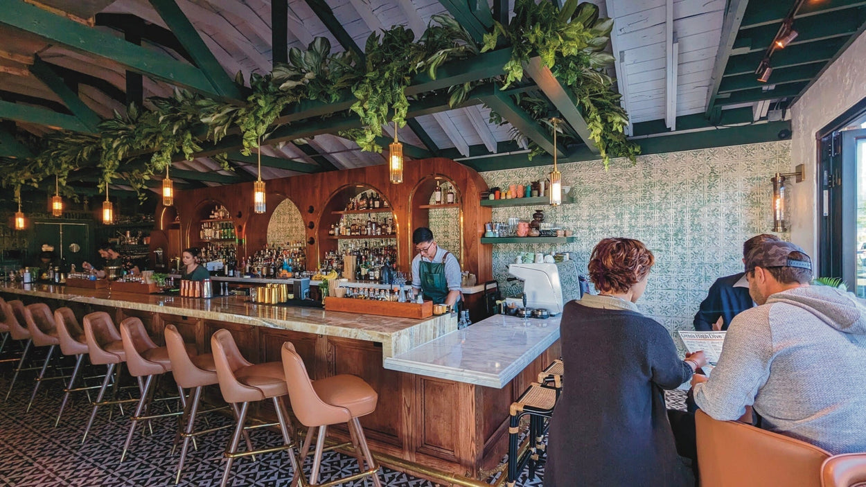 Otto’s High Dive: A Local Favorite with Deep Roots